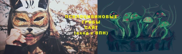 дмт Алзамай