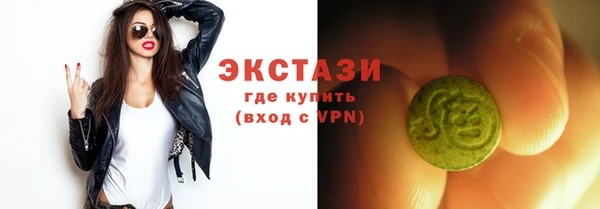 СК Алексин