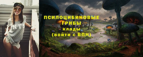 амф Абинск