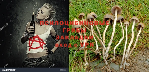 амф Абинск